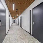 Hotel River Talin